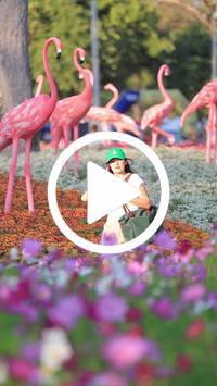 BIB:  <button type="button" onclick="openModal(27588717)" class="btn btn-primary btn-sm float-right" data-toggle="modal" data-target=".modal-high-quality">
                <i class="fa fa-download"></i> Download
                </button>